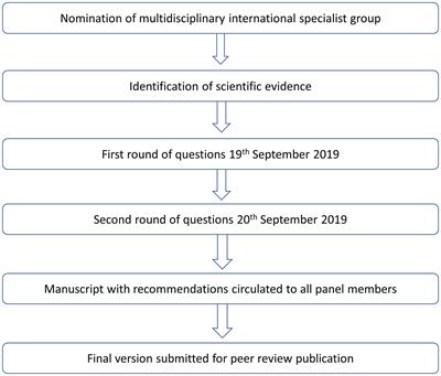 Recommendations for the treatment of vulvar cancer in settings with limited resources: Report from the International Gynecological Cancer Society consensus meeting